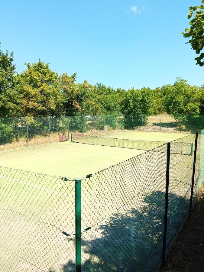 Castle House Rooms, Swimming Pool & Sauna & Tennis Court & Wine Cellar Sežana Extérieur photo